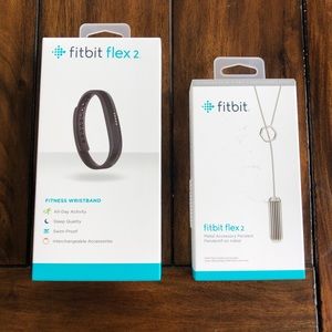 Fitbit Flex 2 and Metal Accessory Pendant